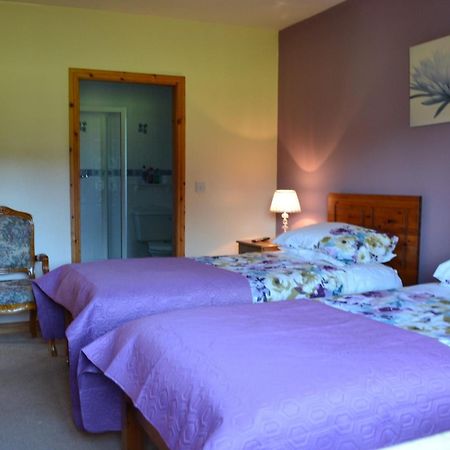 Manorview B&B Cookstown Quarto foto